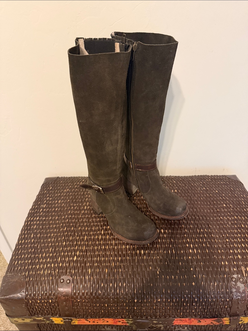FREEBIRD Holland knee high suede olive and brown boots